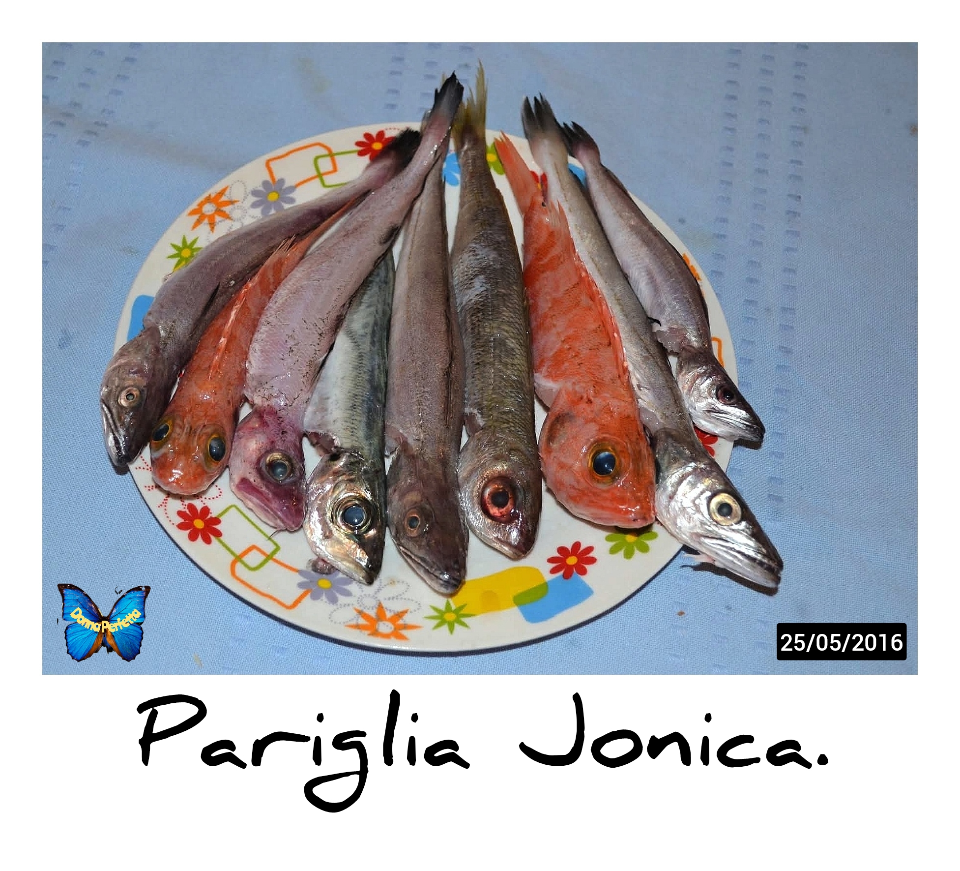 PARIGLIA JONICA. 