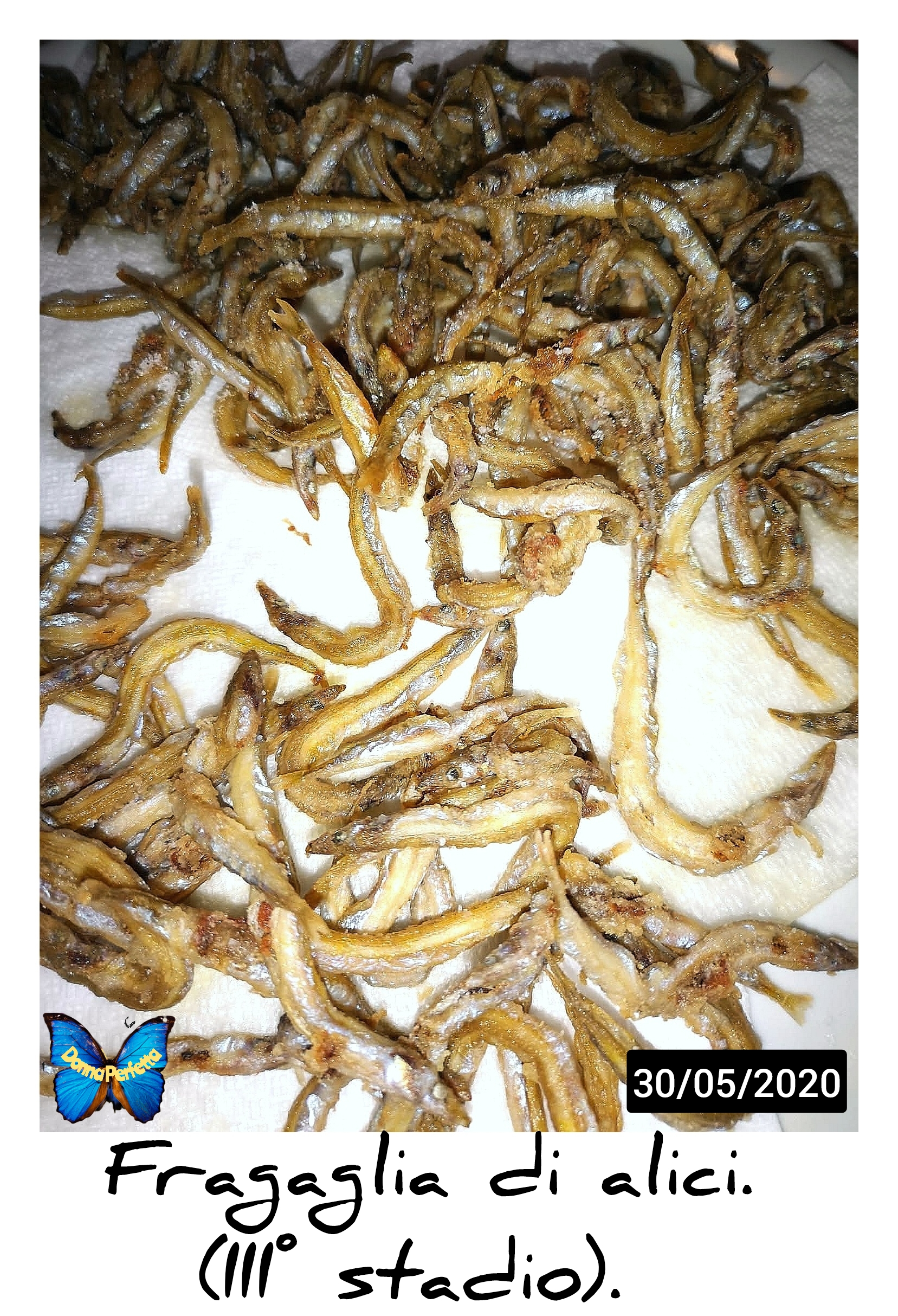 FRAGAGLIA DI ALICI (III° stadio). 