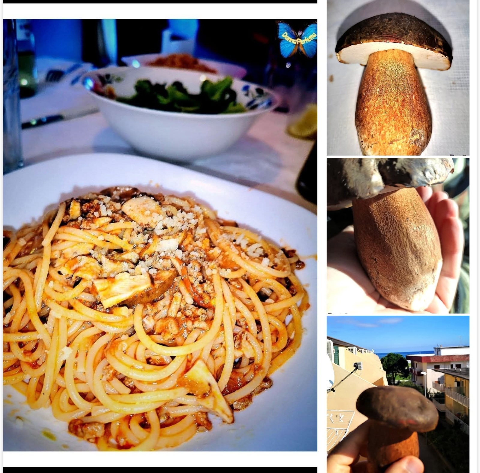 RAGÙ BOLOGNESE E PORCINI. 