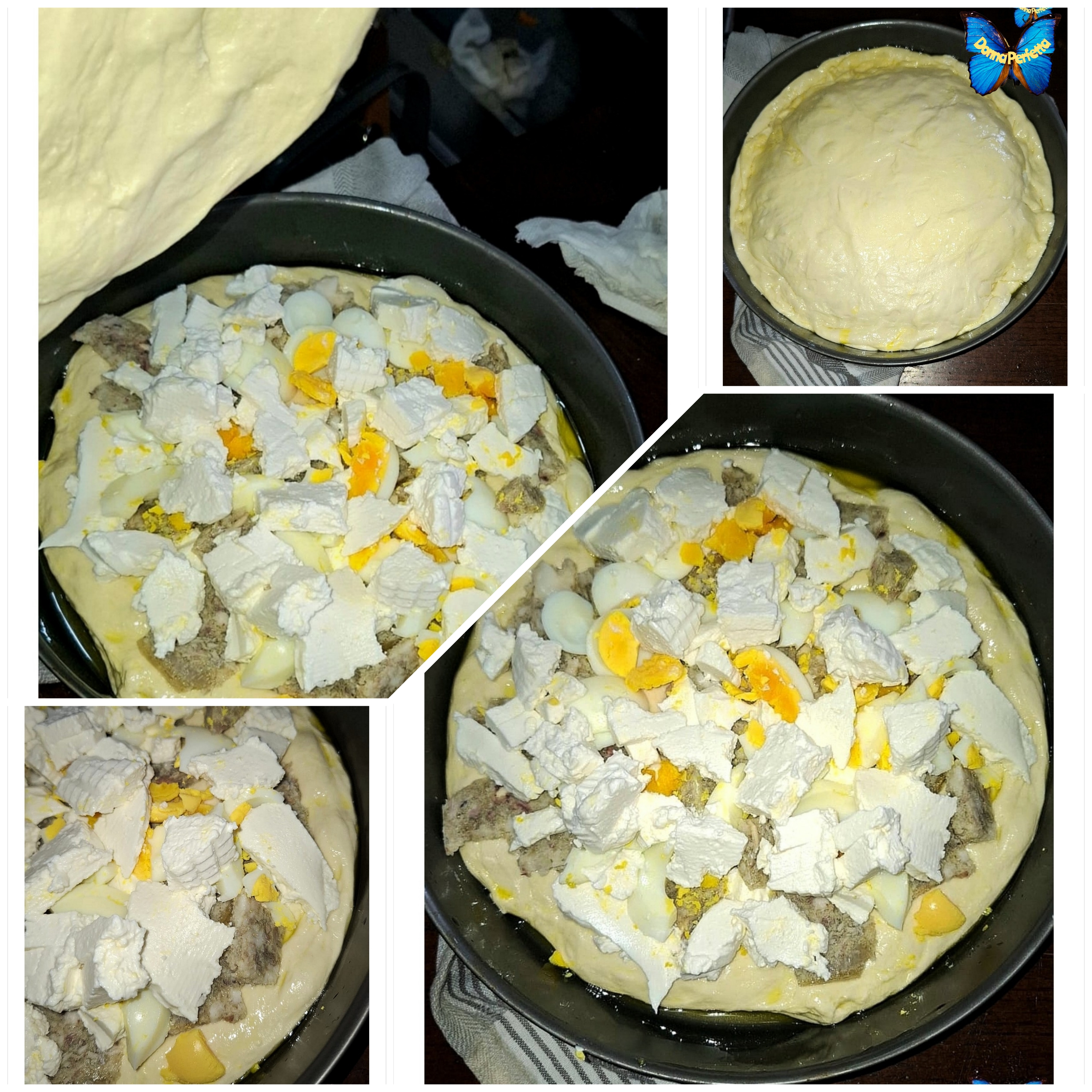 PITTA DI ALTAMURA. 2. (Alla COTIX). 