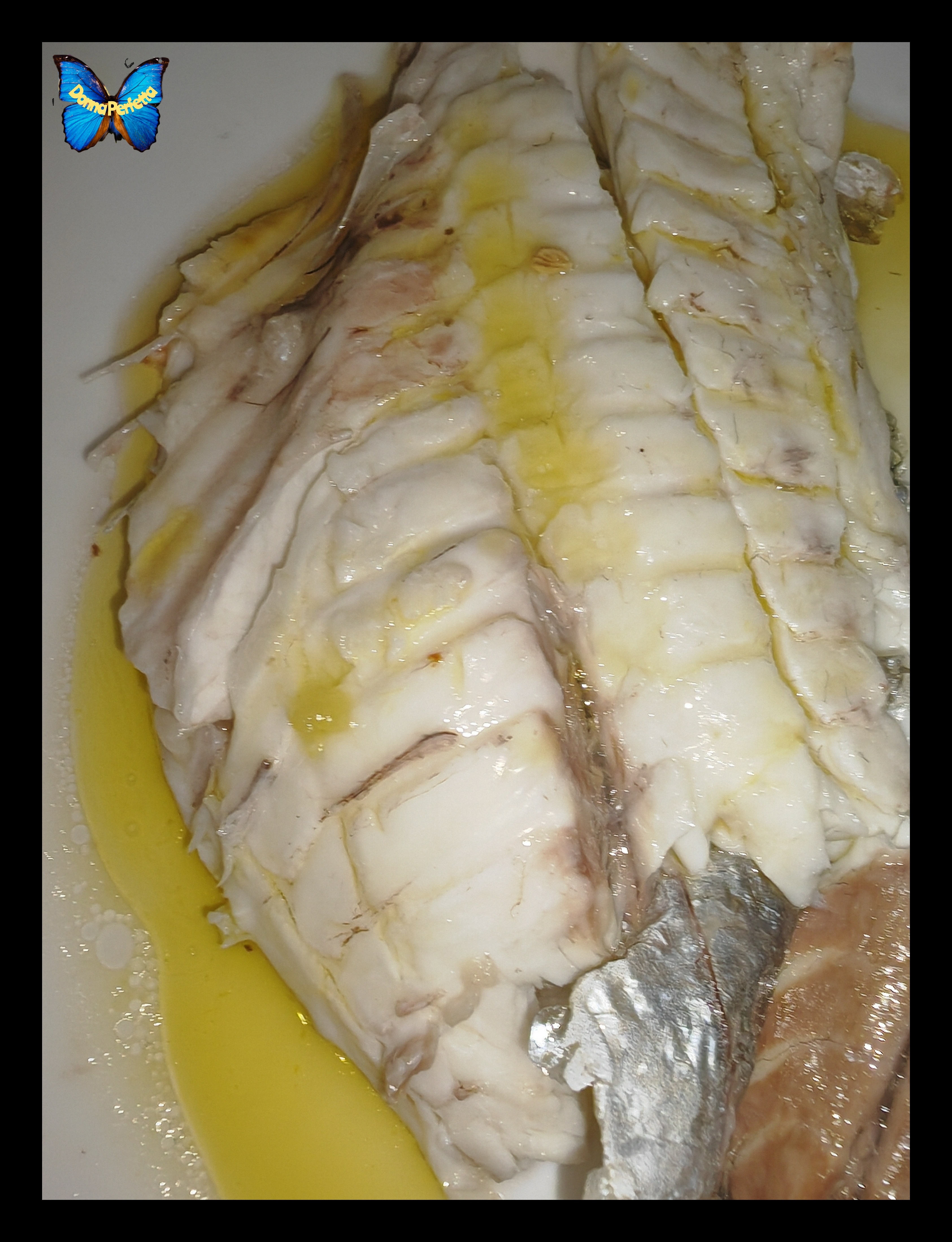 ORATA in OLIO di OLIVA.