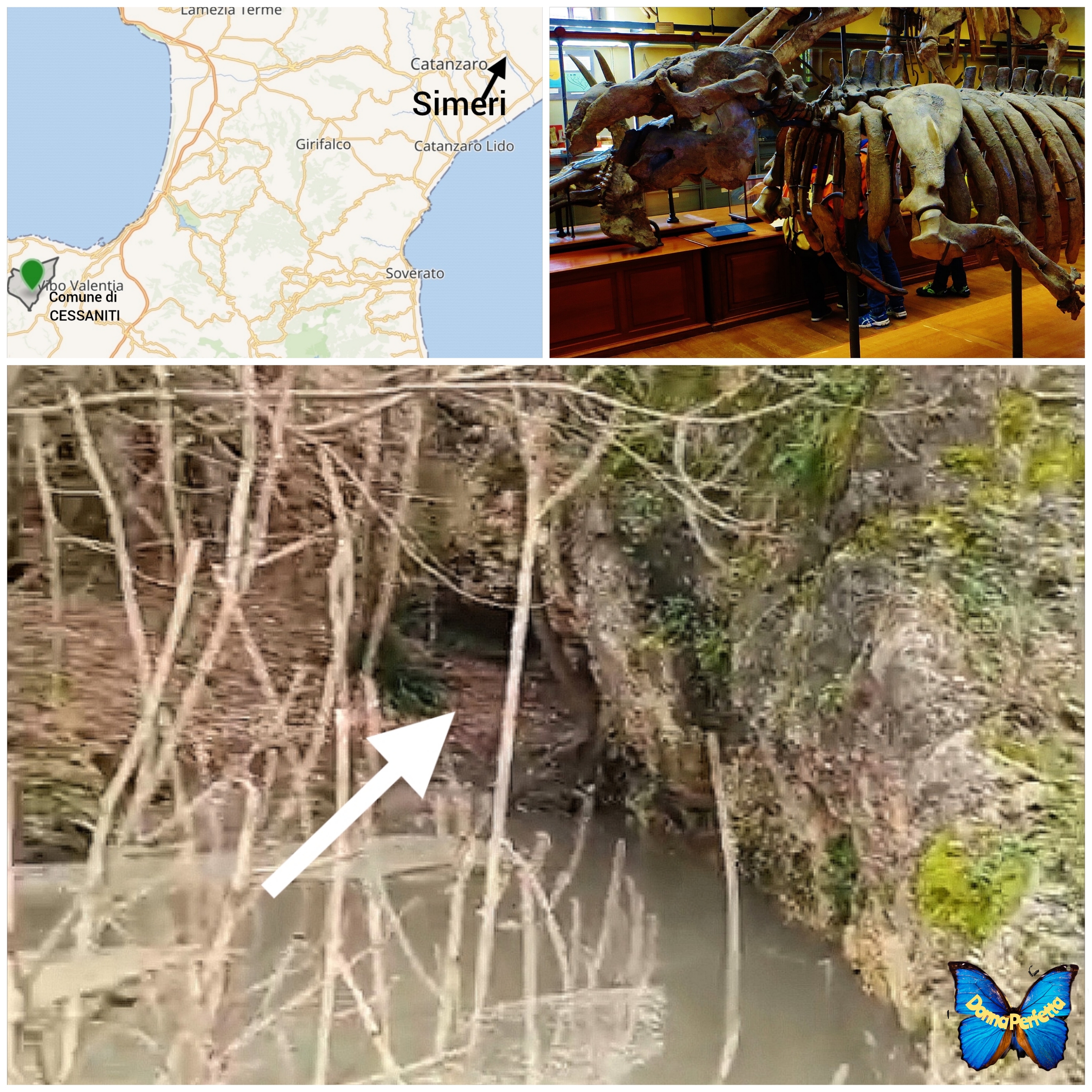 CALABRIA PREISTORICA. 