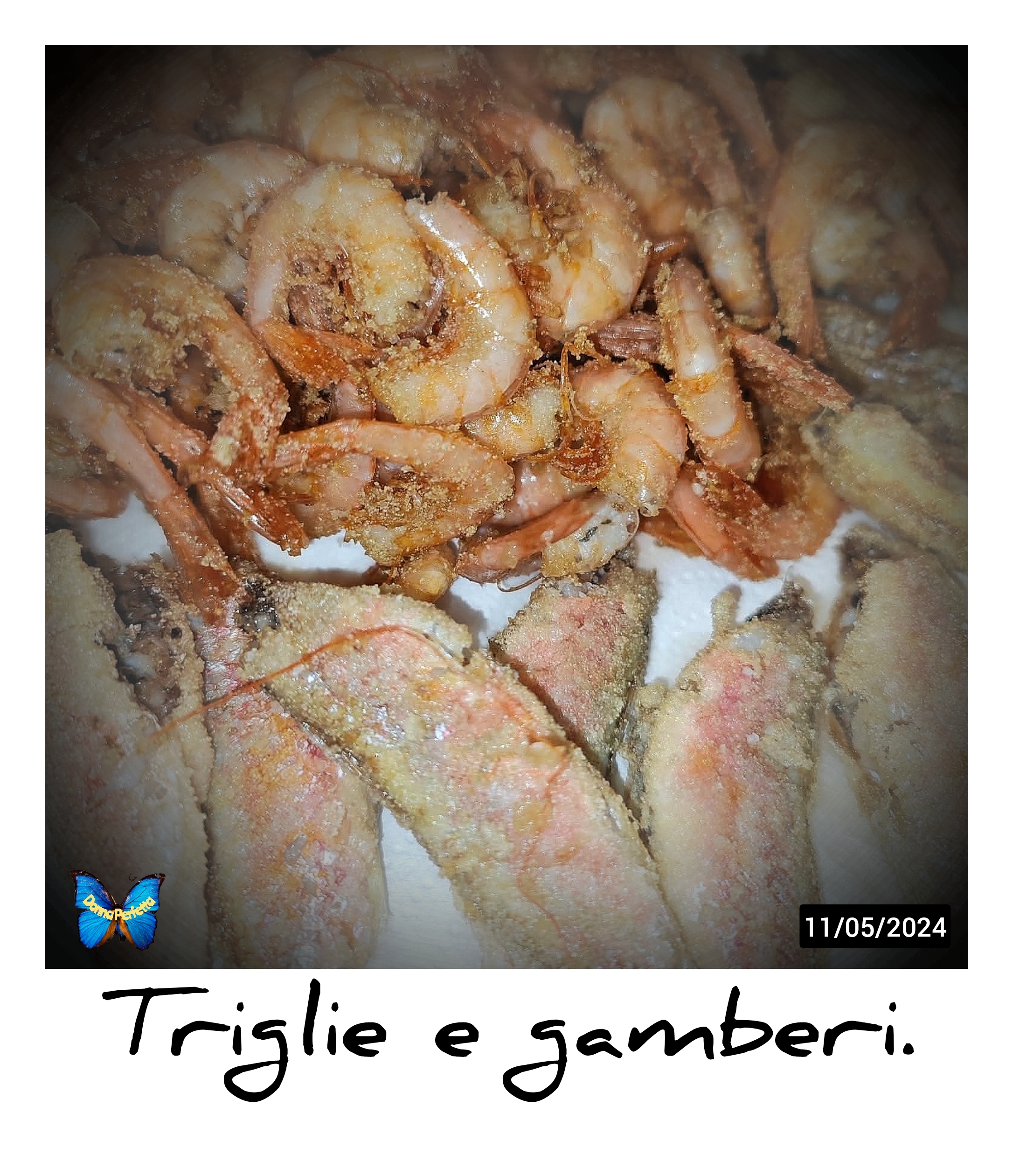 TRIGLIE e GAMBERI. 
