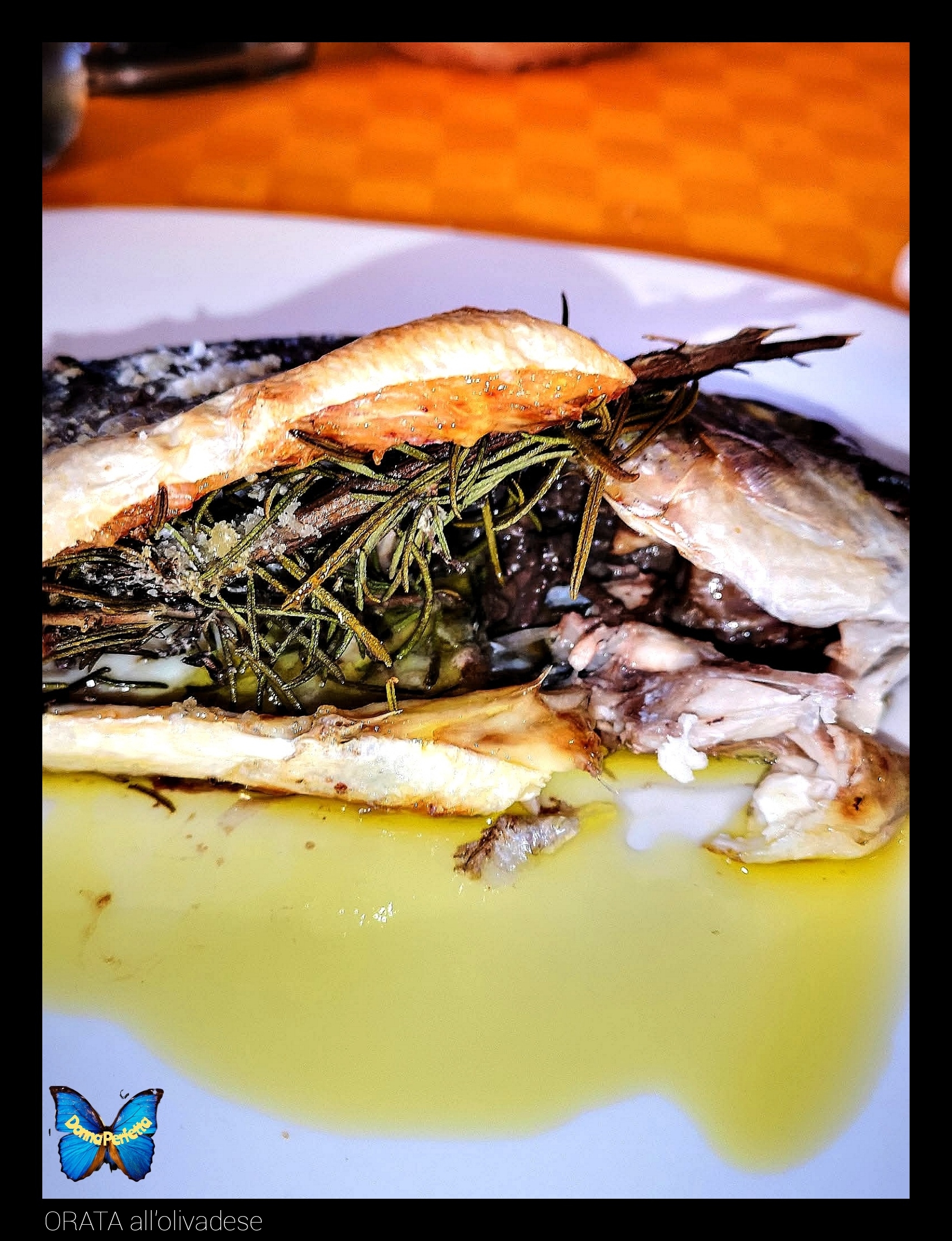 ORATA all'olivadese.