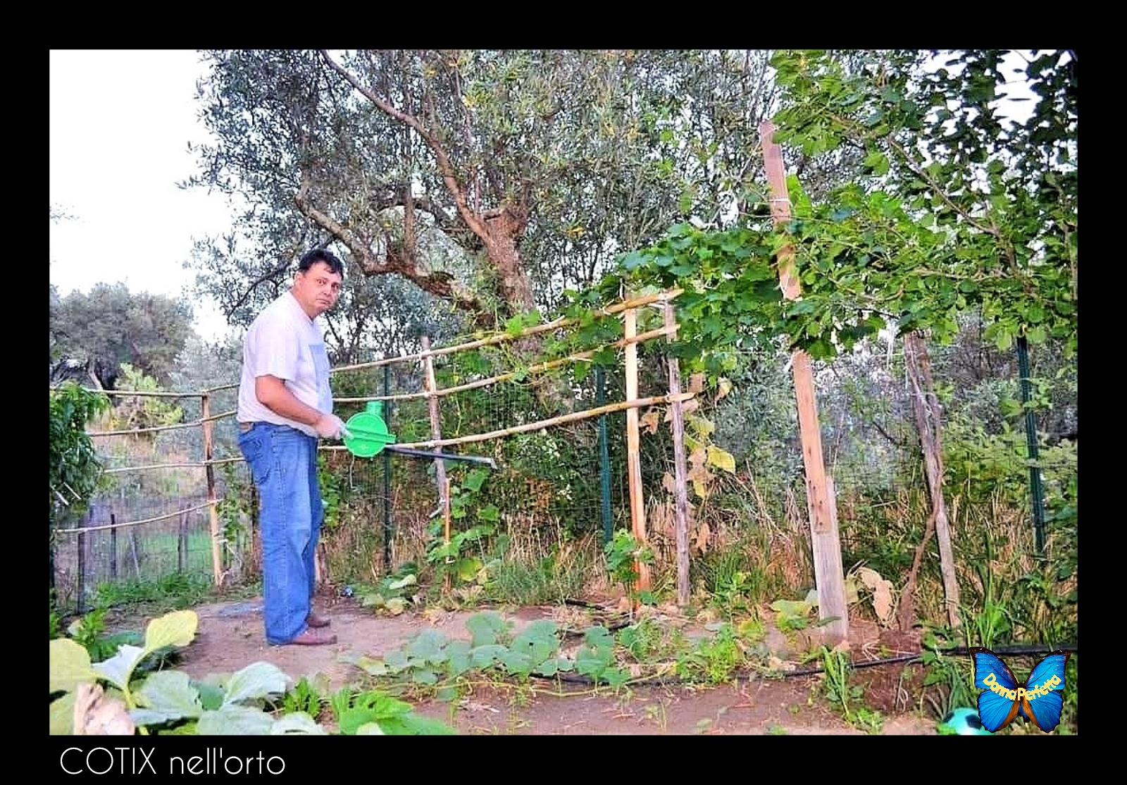 COTIX nell'orto.