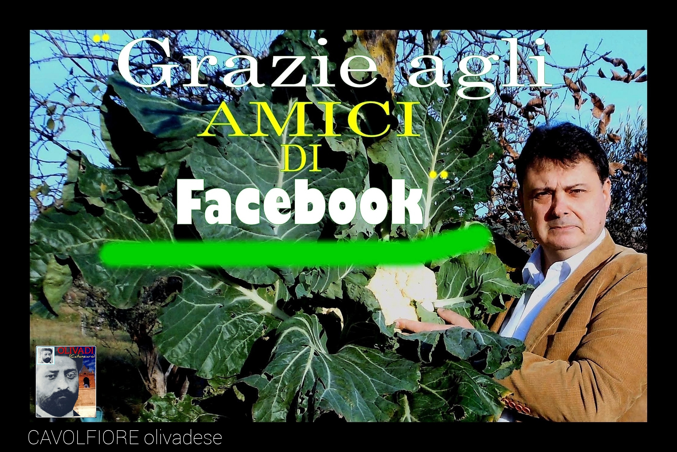 ABBIAMO MAI CAPITO UN CAVOLO NELLA VITA....?