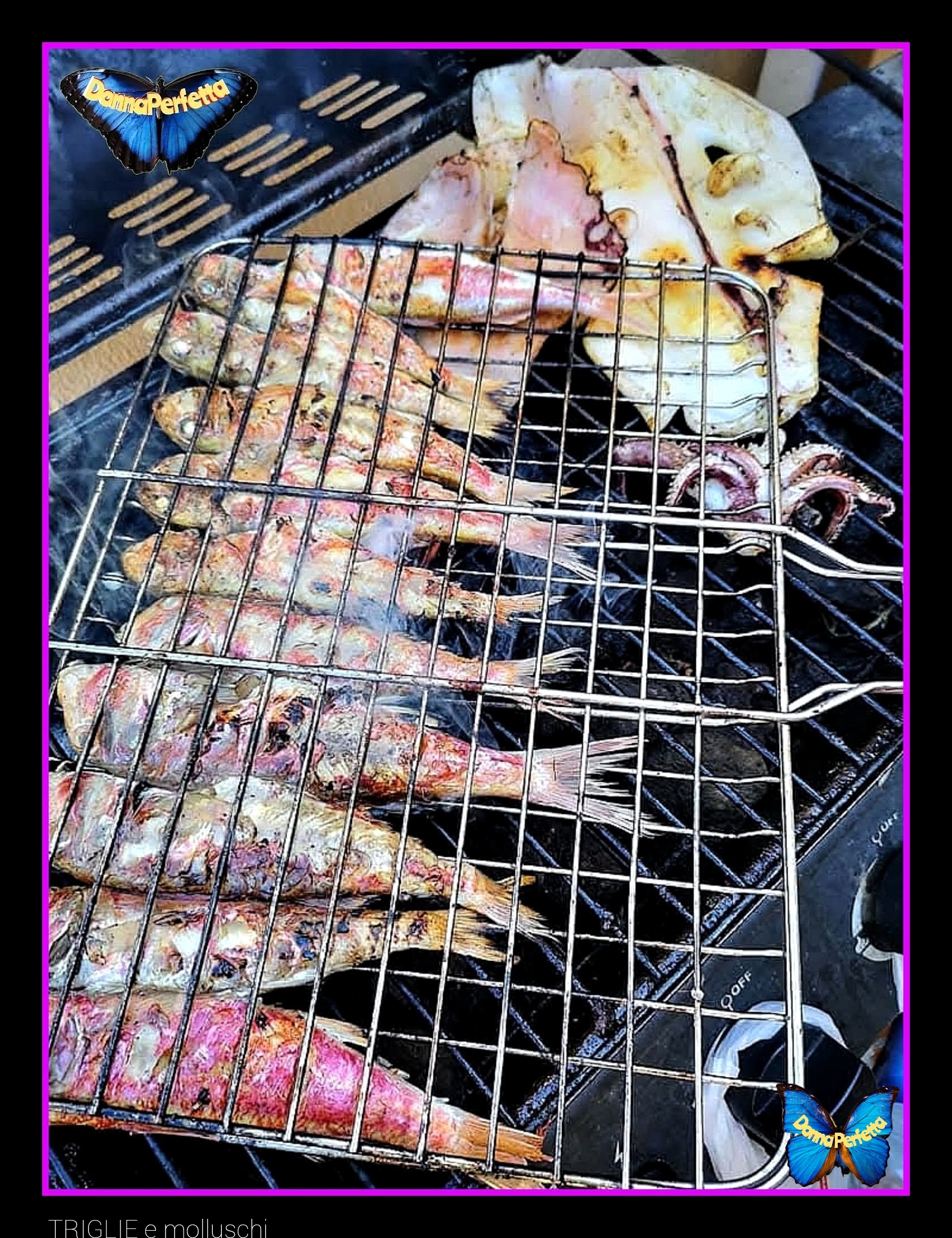 PESCI E MOLLUSCHI. 
