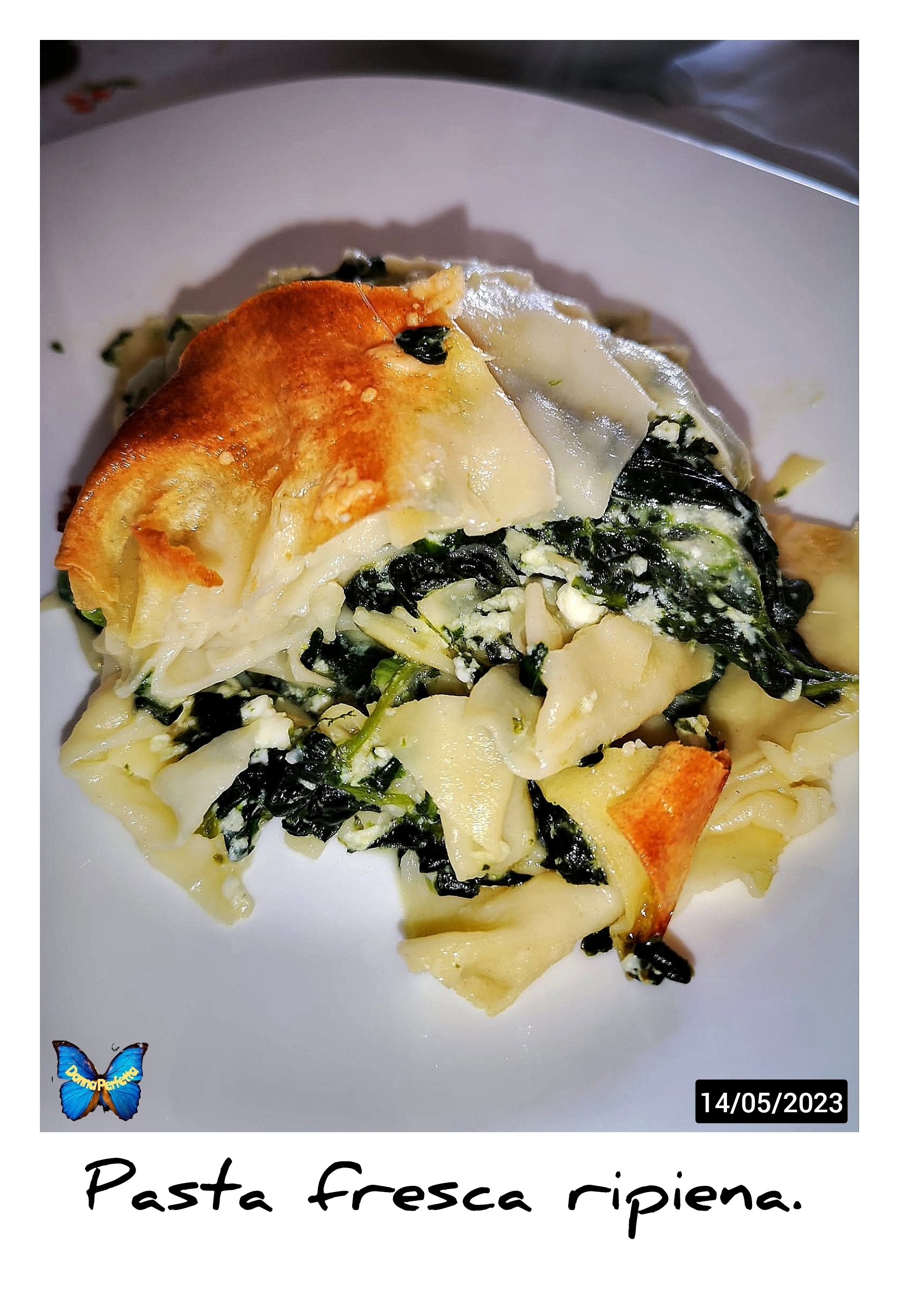 PASTA FRESCA RIPIENA.