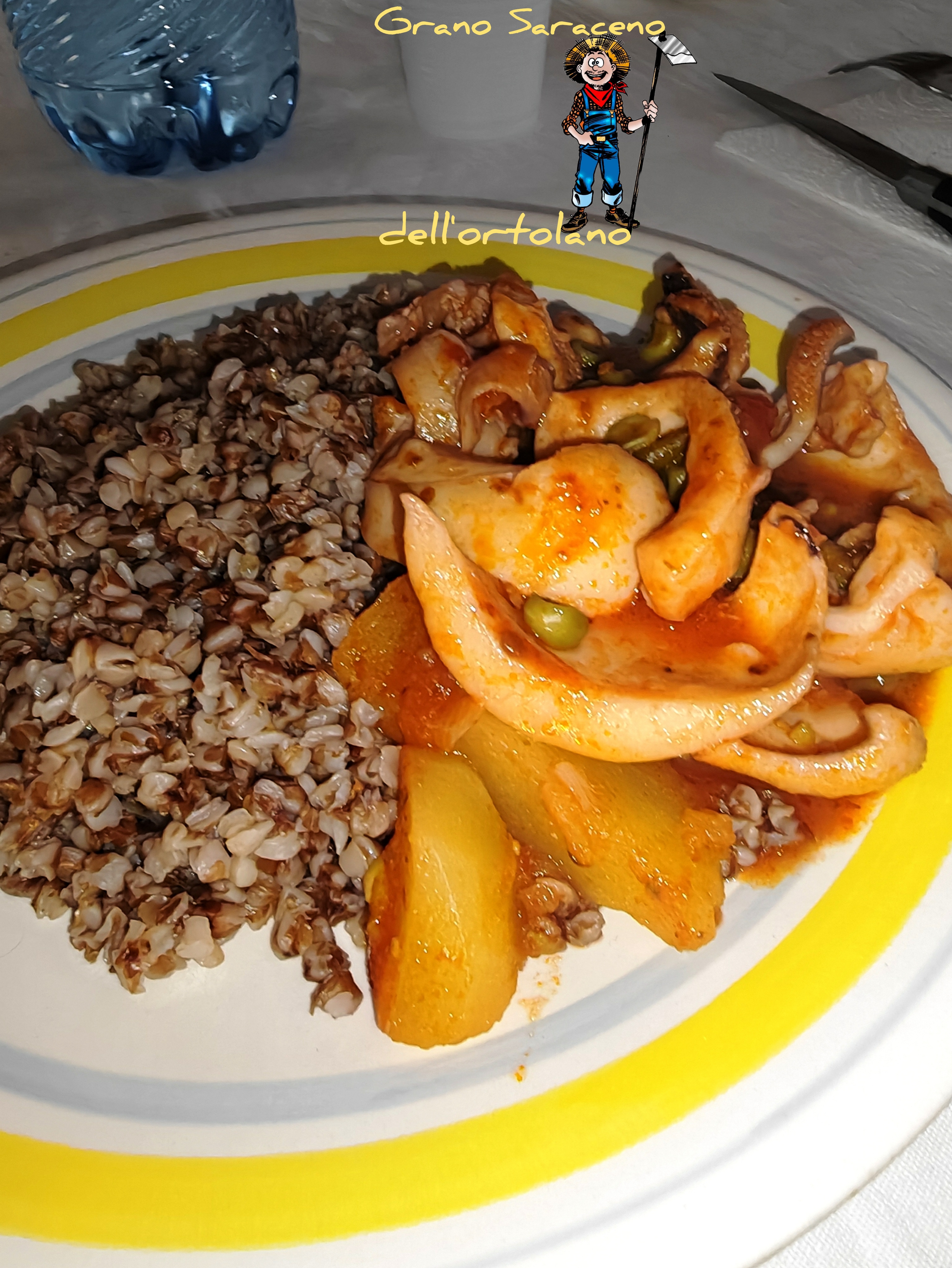 GRANO SARACENO DELL'ORTOLANO. 