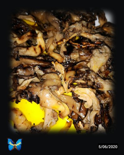 FUNGHI DI LUNA PIENA. 