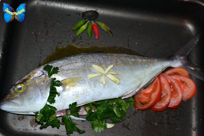 RICCIOLA agli ORTAGGI.