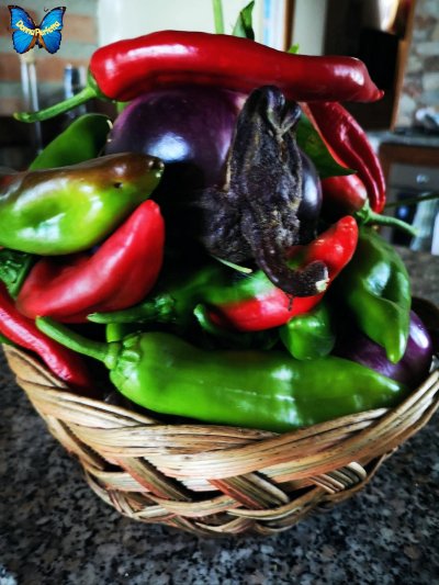 PEPERONI e MELANZANE. 