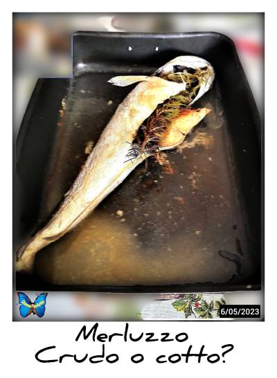 BACCALÀ, CRUDO O COTTO? 