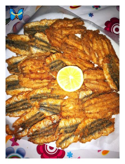 COTOLETTE IN FORMAZIONE.