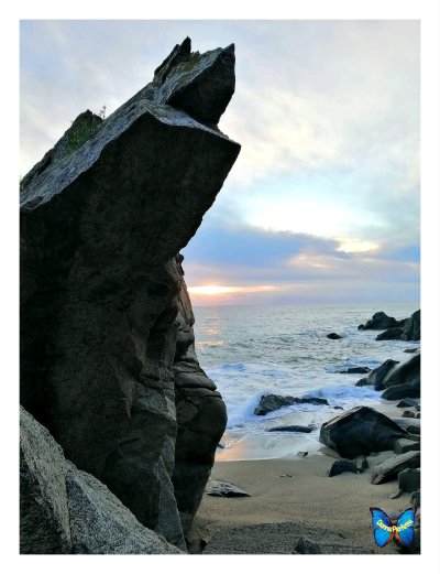 LA MADONNA IN PREGHIERA. 