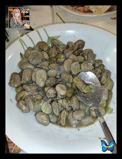 FAVE FRESCHE DI GENNAIO. 