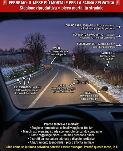 INVITO A VELOCITÀ MODERATA. 