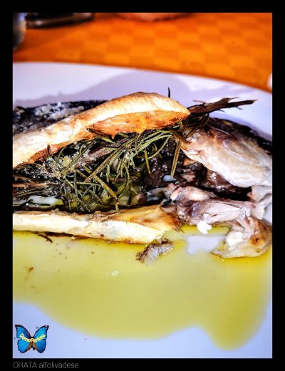 ORATA all'olivadese.