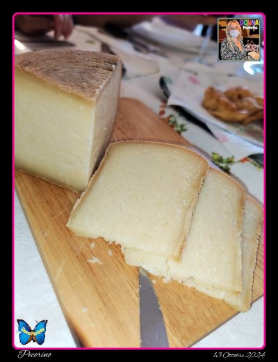 IL PECORINO.