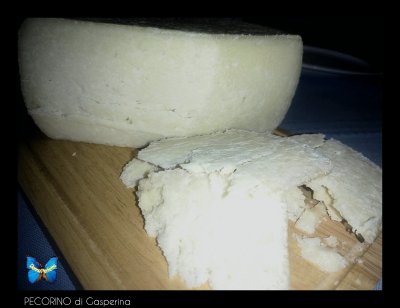 Pecorino di Gasperina. 