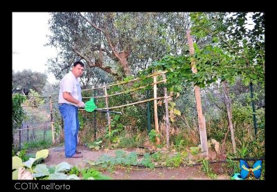 COTIX nell'orto.