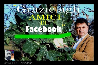 ABBIAMO MAI CAPITO UN CAVOLO NELLA VITA....?