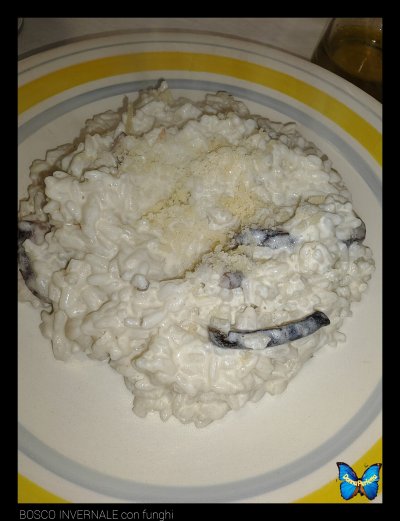 BOSCO INVERNALE con funghi.