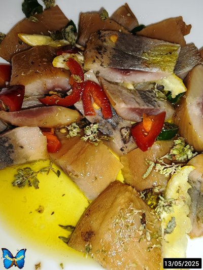 ARINGA DEI MARI NORVEGESI.