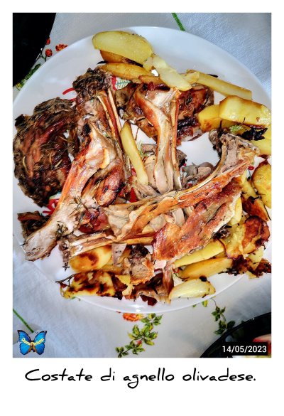 COSTATE DI AGNELLO. 