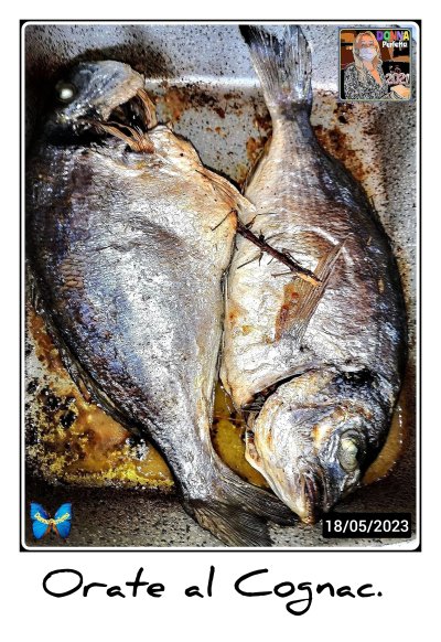 ORATE al COGNAC.